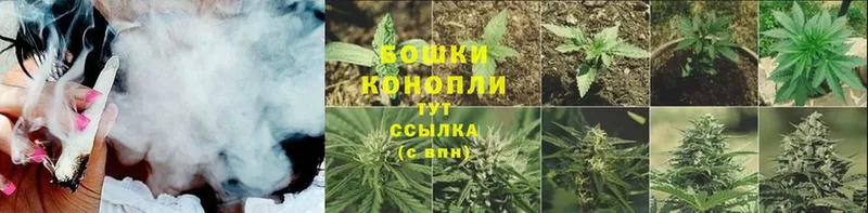 Где купить Обнинск ГАШ  Cocaine  A PVP  Канабис  мега зеркало  Меф мяу мяу 